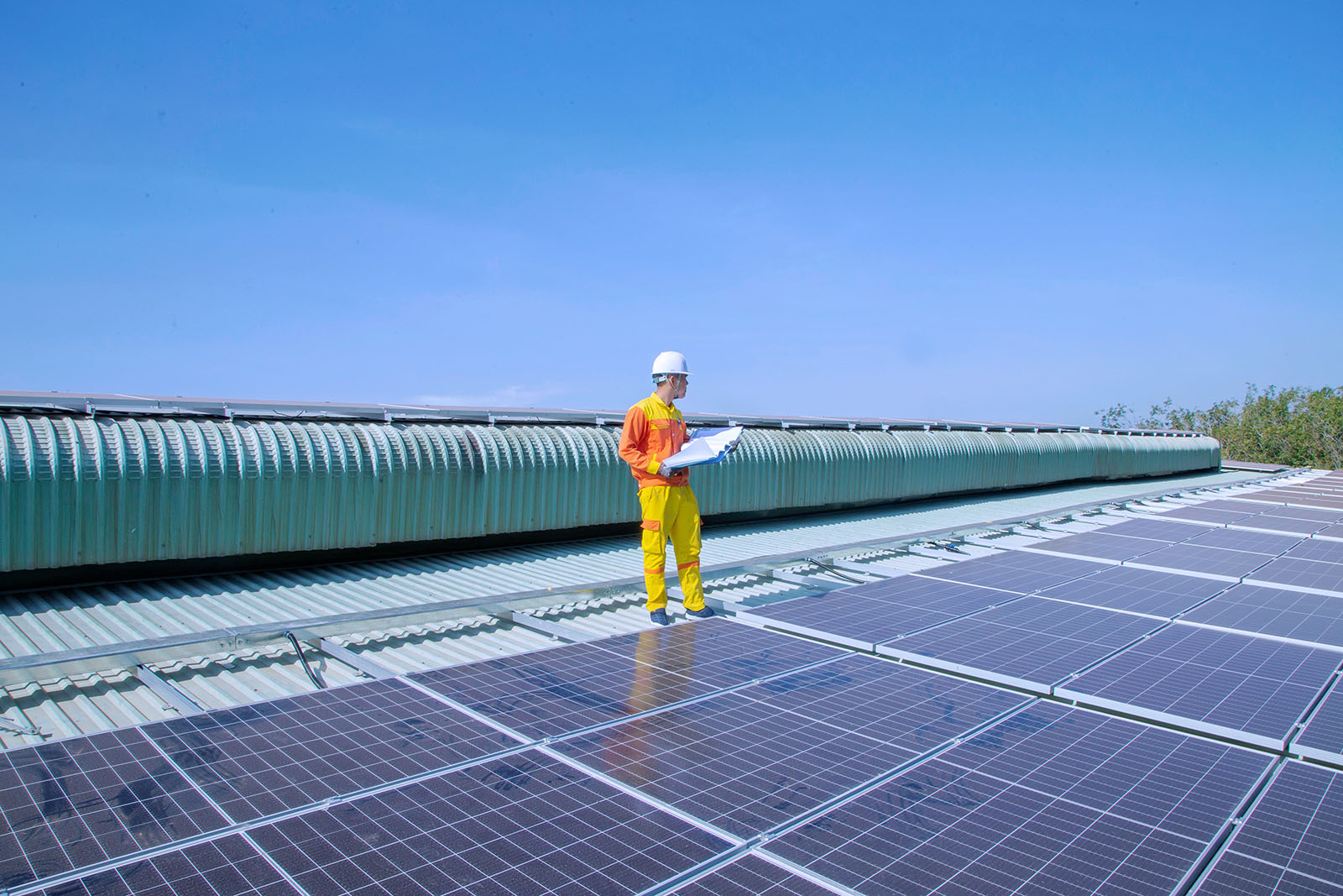 Man in florescent uniform, wearing a hard hat, holding a binder, in the middle of solar panels on the ground